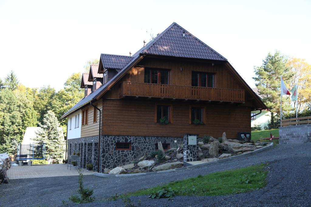 Hotel Koenig-In à Hojsova Stráž Extérieur photo