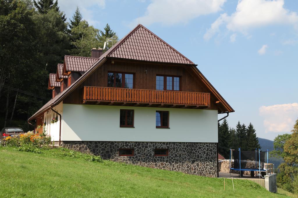 Hotel Koenig-In à Hojsova Stráž Extérieur photo