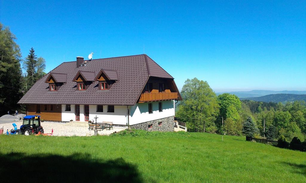 Hotel Koenig-In à Hojsova Stráž Extérieur photo