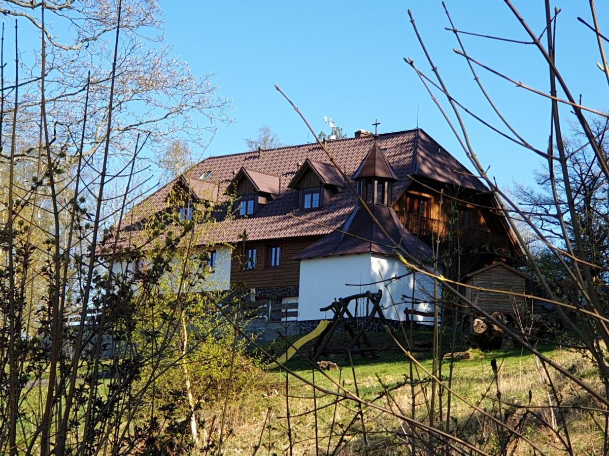 Hotel Koenig-In à Hojsova Stráž Extérieur photo
