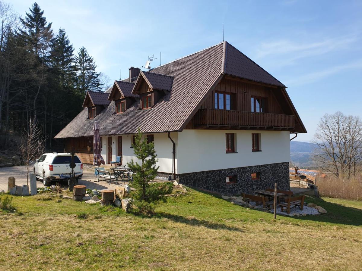 Hotel Koenig-In à Hojsova Stráž Extérieur photo
